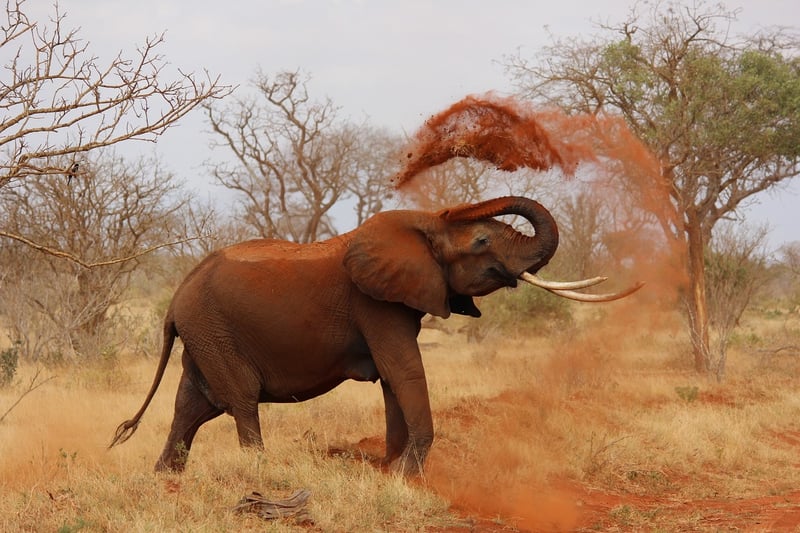 Kruger National Park